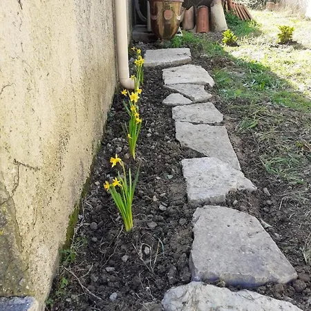 Apartment Les Jasmins Montaud (Herault)